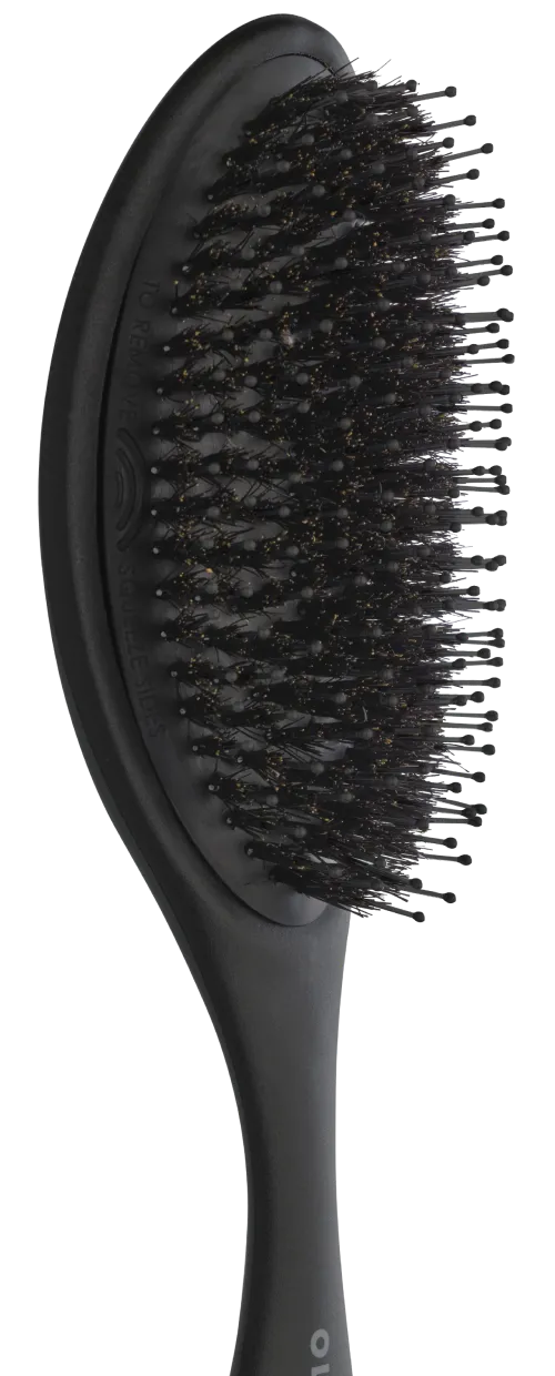 The Reset - Morning<br />
 Reset